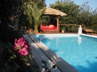Gazebos, Umbrellas & Tropical Cabins - Thatch