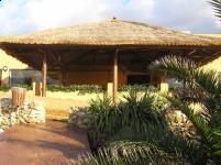 Gazebos, Umbrellas & Tropical Cabins - Thatch
