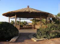 Gazebos, Umbrellas & Tropical Cabins - Thatch