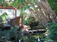 Gazebos, Umbrellas & Tropical Cabins - Thatch