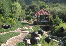 Gazebos, Umbrellas & Tropical Cabins - Tiled