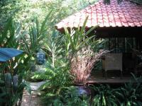 Gazebos, Umbrellas & Tropical Cabins - Tiled