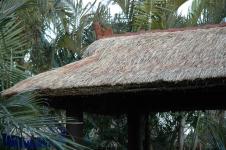 Gazebos, Umbrellas & Tropical Cabins - Thatch