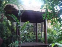 Gazebos, Umbrellas & Tropical Cabins - Thatch