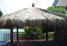 Gazebos, Umbrellas & Tropical Cabins - Thatch
